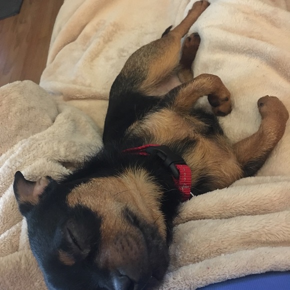 Meet Your Posher, Gloria - Picture 7 of 11